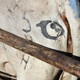 Illustration for article titled Drawing Eyes on Cow Butts May Ward Off Hungry Lions